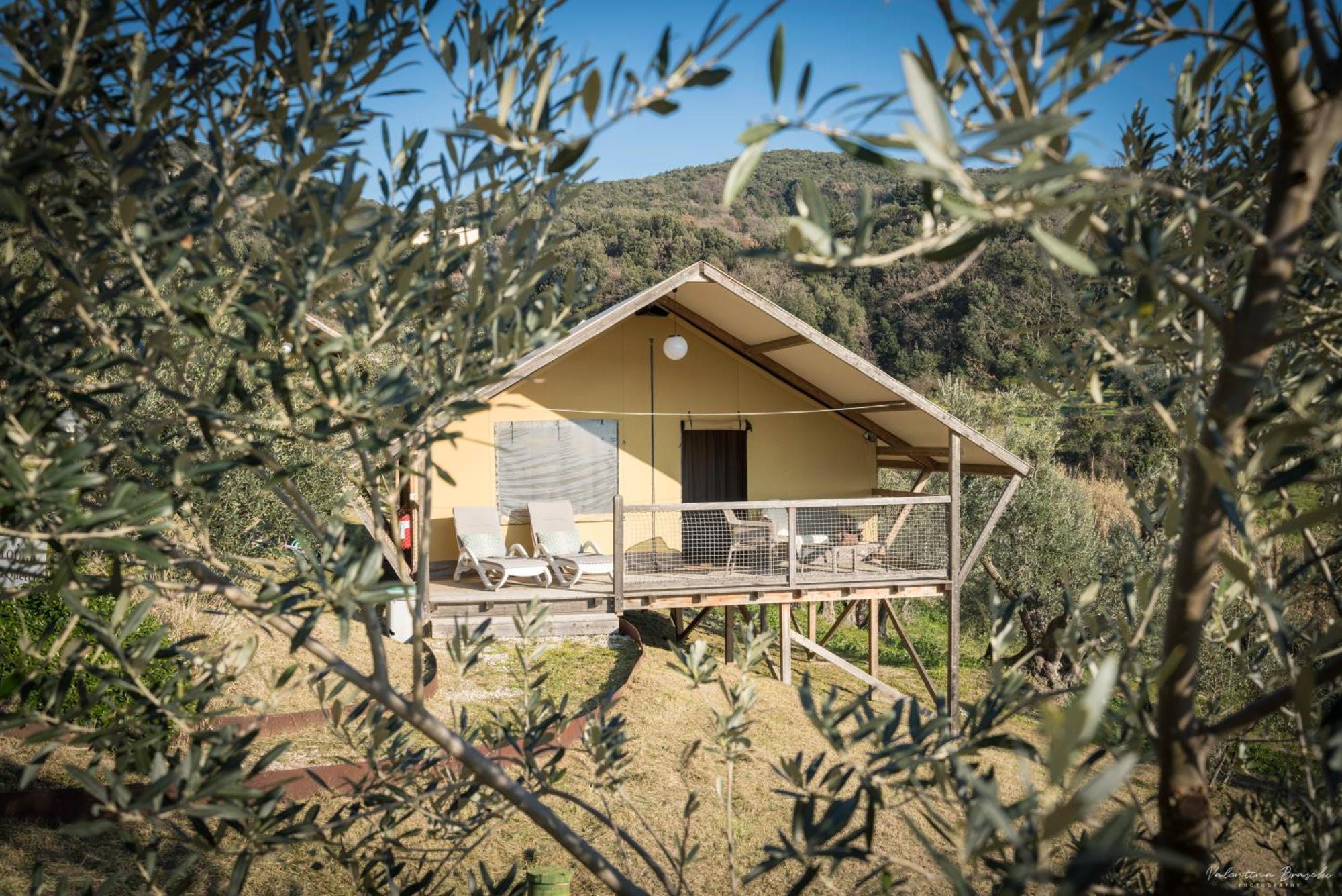 Podere Cortesi Agriturismo Molinaccio Santa Luce Zewnętrze zdjęcie