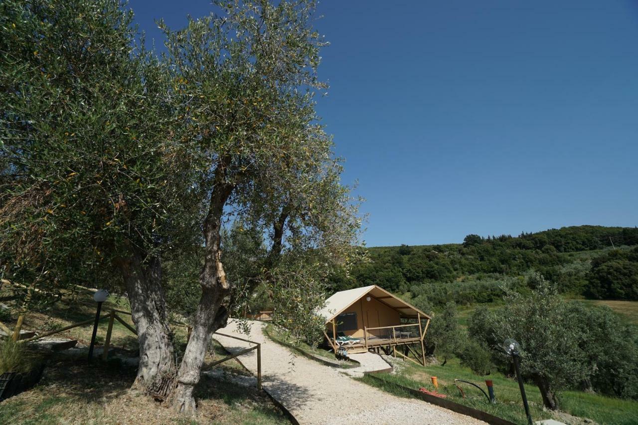 Podere Cortesi Agriturismo Molinaccio Santa Luce Zewnętrze zdjęcie